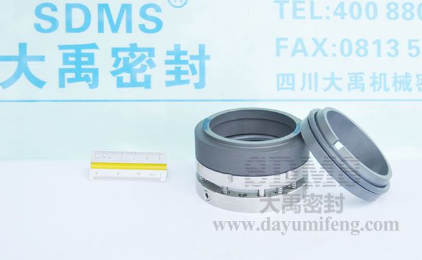 CZ化工流程泵C8U-65機械密封