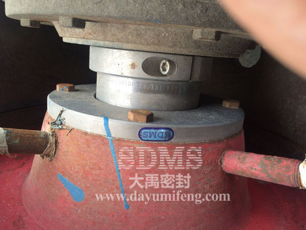 石家莊工業泵廠ZJ機封現場