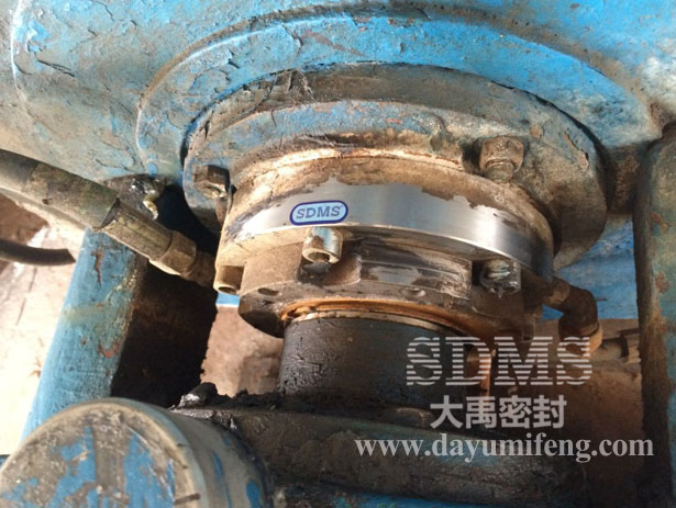 山東雙輪LRB泵機封使用現場