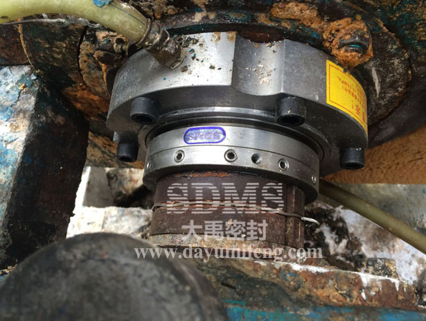 山東雙輪LRB泵機封使用現場