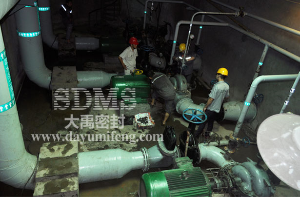 大禹工程師在客戶現(xiàn)場指導(dǎo)安裝機ZU型械密封